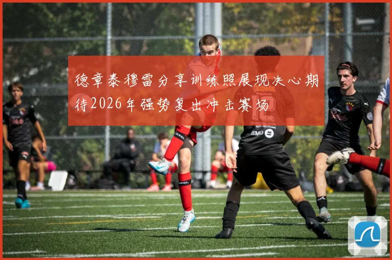 德章泰穆雷分享训练照展现决心期待2026年强势复出冲击赛场
